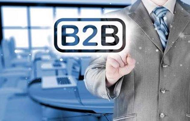 你的b2b电商网站商城系统真的买对了吗?